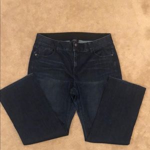 Venezia by Lane Bryant Jeans - Short